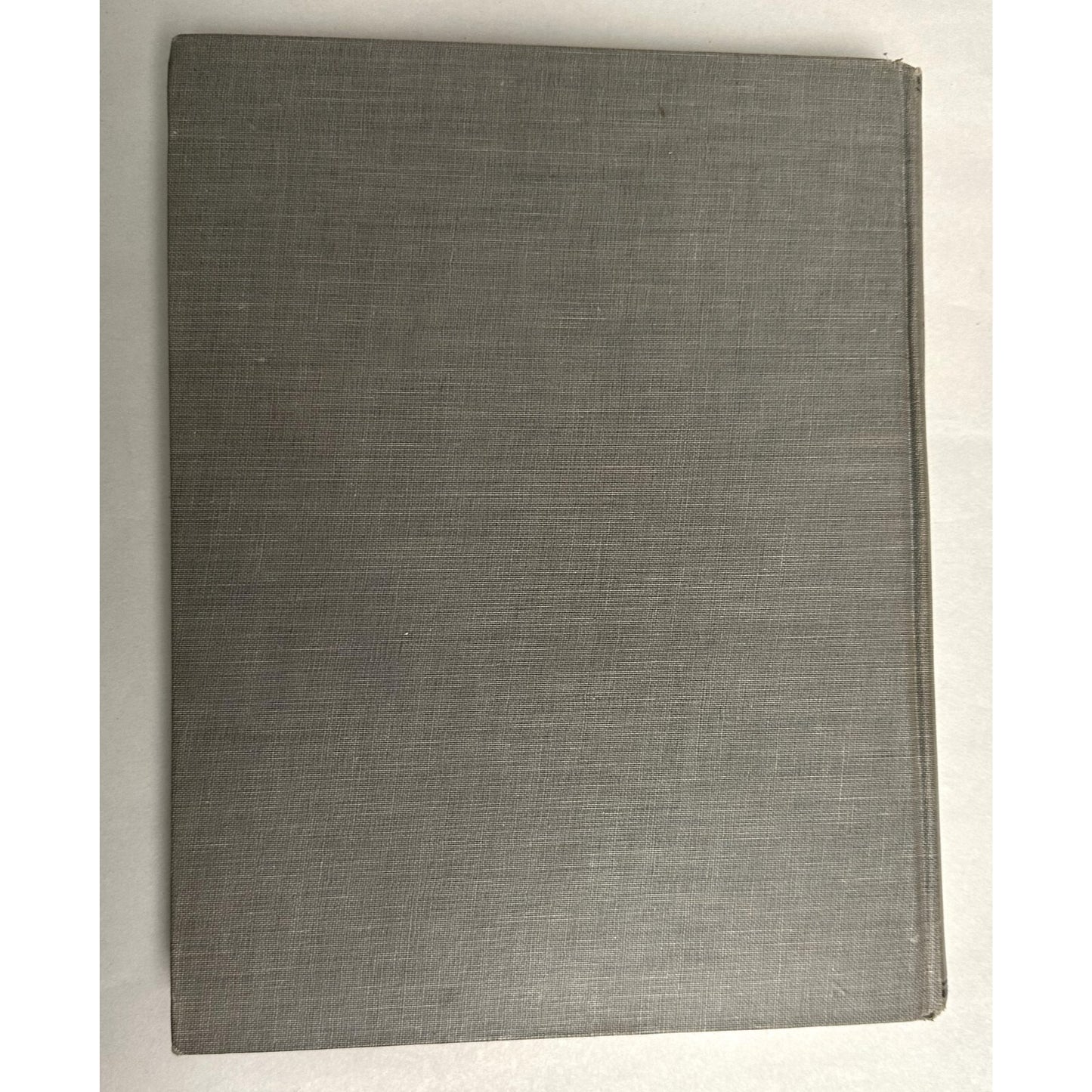 Neues Wilhelm Busch Album German Text 1500 Illustrations Hardcover 428 Pages 11.25x9