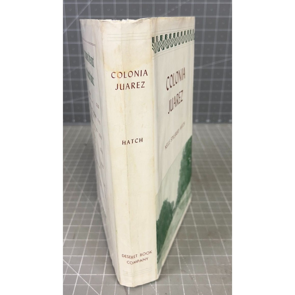 Colonia Juarez: An Intimate Account Of A Mormon Village By Nelle Spilsbury Hatch Hardcover 1954 Deseret Book Co.