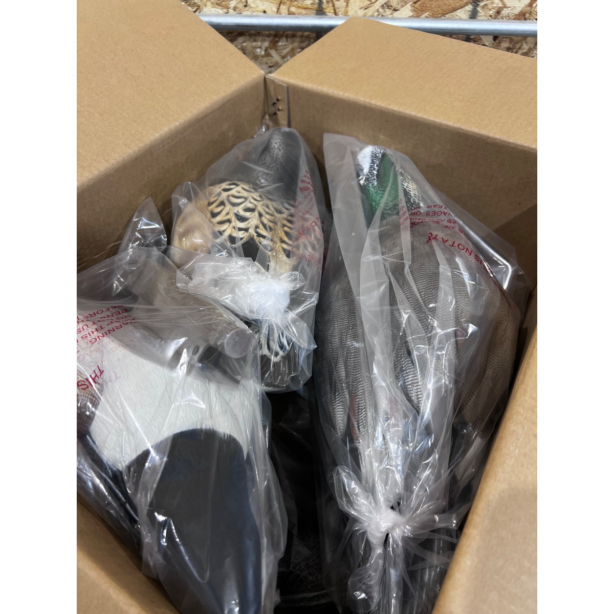 Greenhead Gear Pro Grade Wigeon Duck Floater Decoys 6-Pack New Open Box