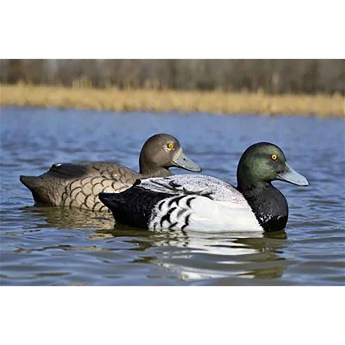 Higdon Battleship Bluebill Foam-Filled Duck Decoys 6-Pack Weighted Keel #16234