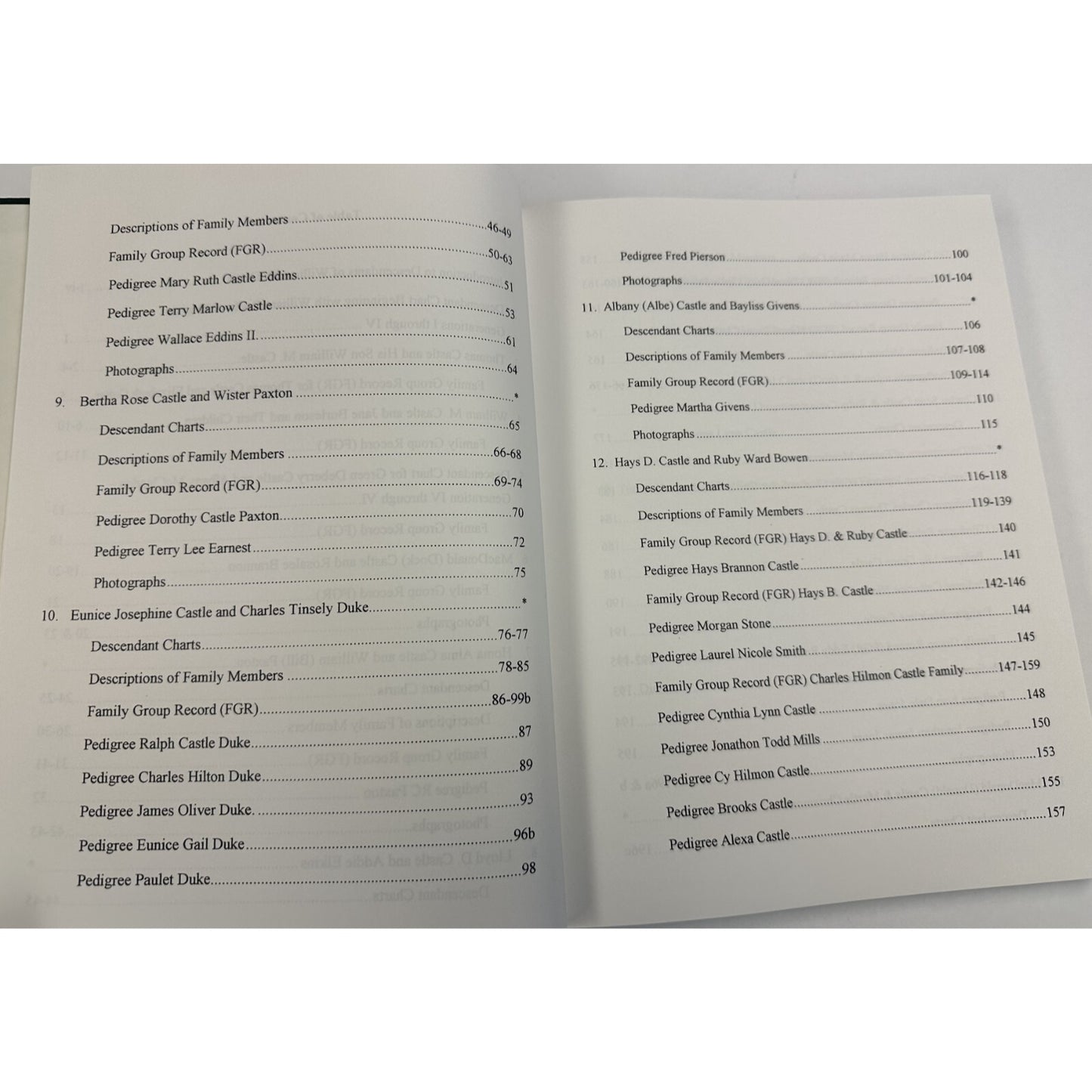 geneaology DESCENDANTS WILLIAM M. CASTLE WEBSTER COUNTY MISSISSIPPI 1998