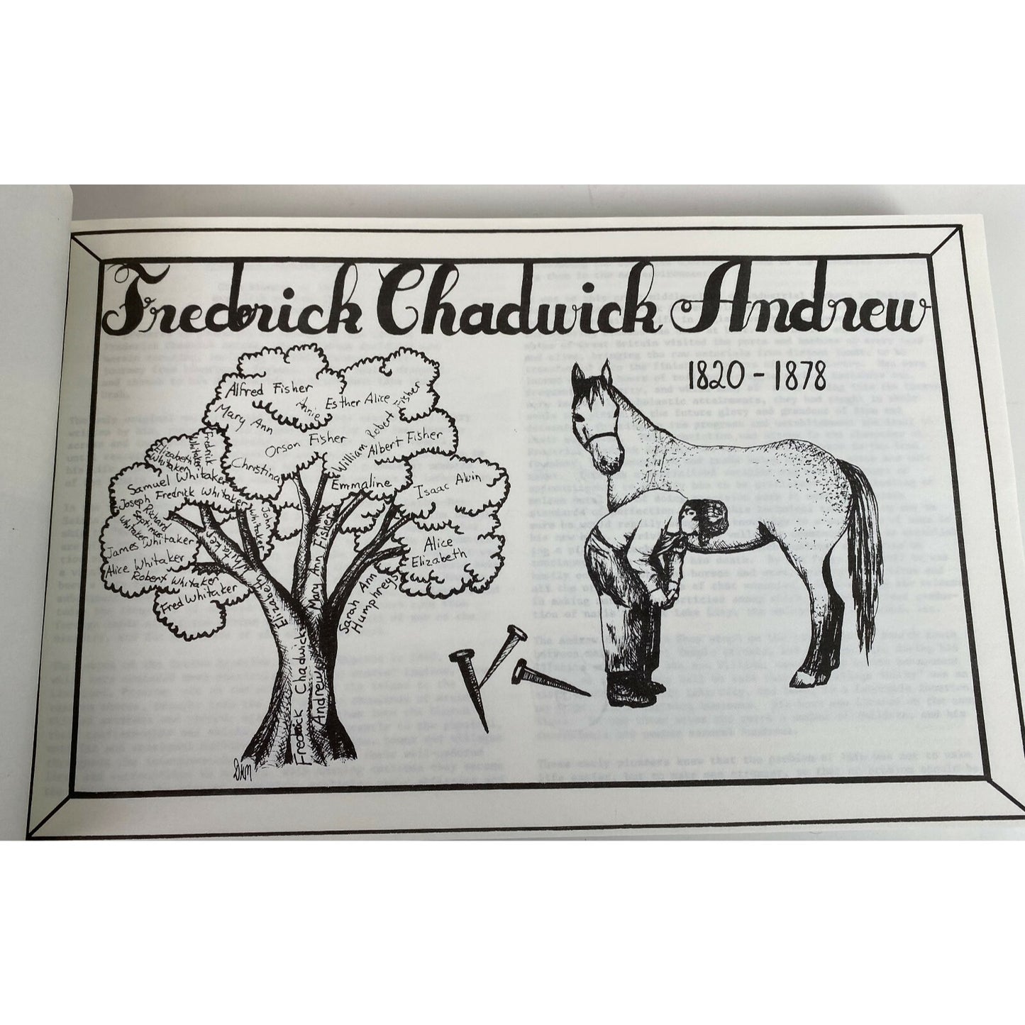 Ancestors & Descendants Of Frederick Chadwick Andrew Family History Genealogy 79