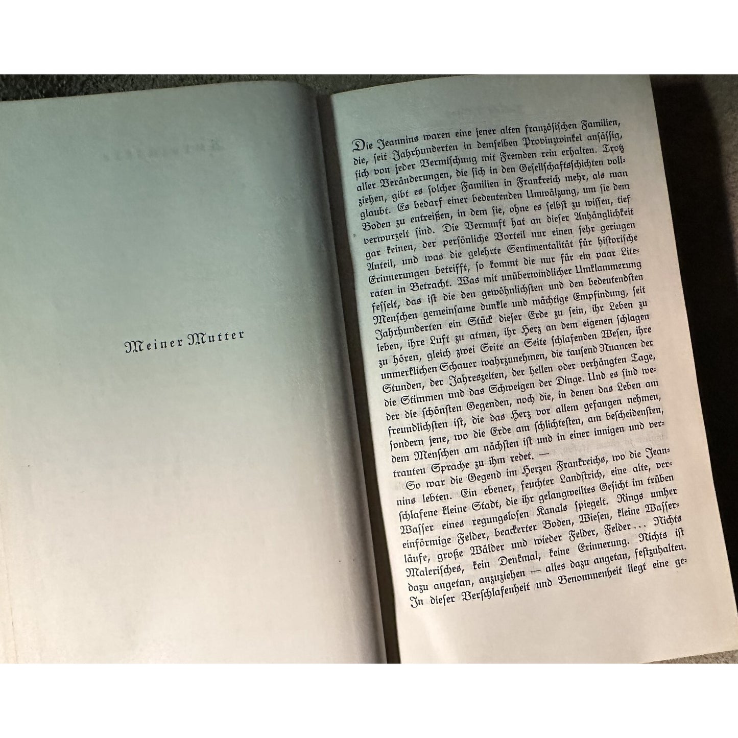 Romain Rolland Johann Christof 1927 German Edition Vol 1 & 2 Hardcover Blue Gold Detail
