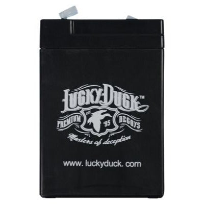 Lucky Duck 6 Volt Rechargeable Battery Sealed Lead Acid Battery Rechargeable 4Ah