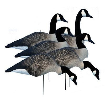 Higdon Alpha Wobbler, Magnum Canada Full Form Shell Variety Pack (6pk)