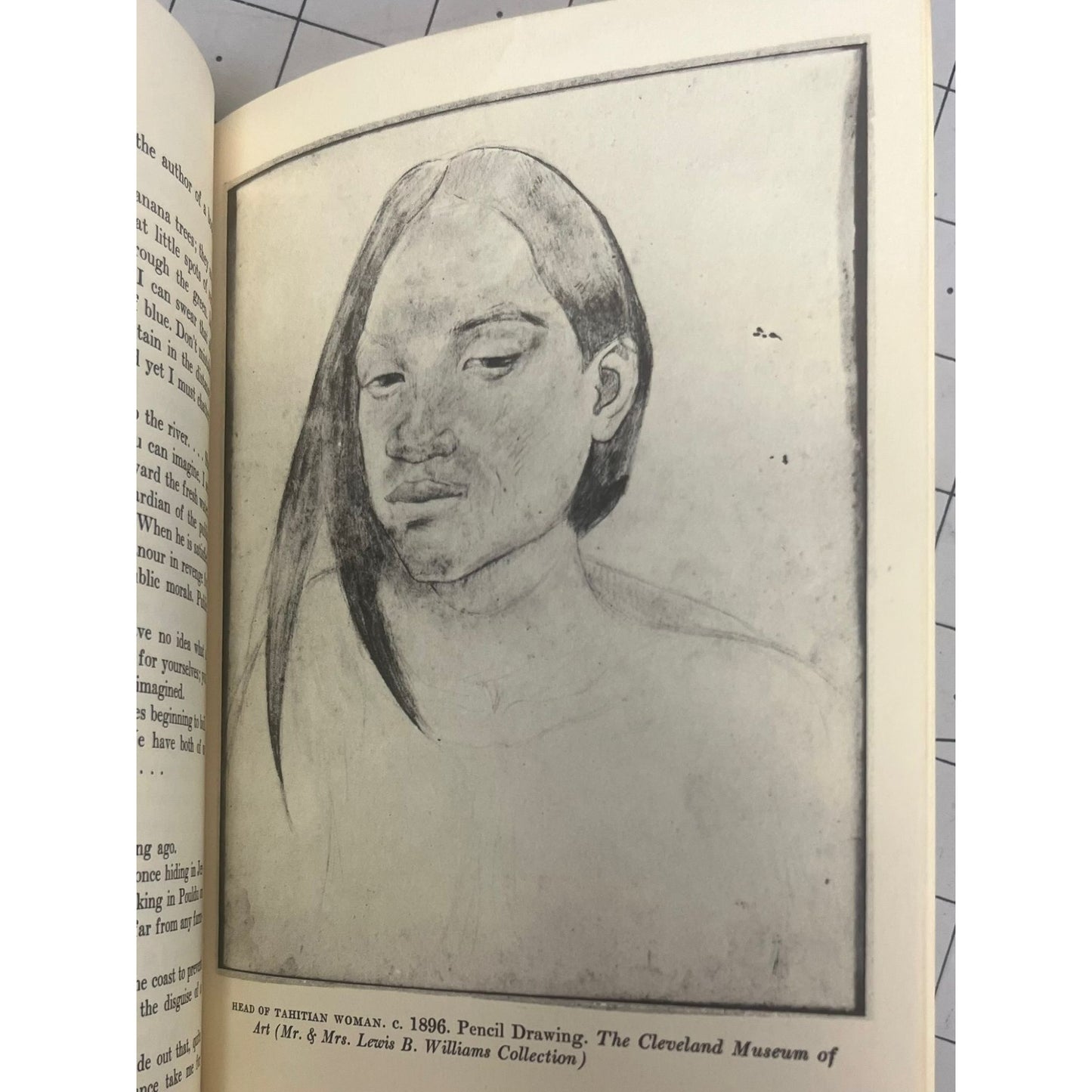 Paul Gauguin's Intamate Journels a Midland Book PB 1958 Indiana University Press