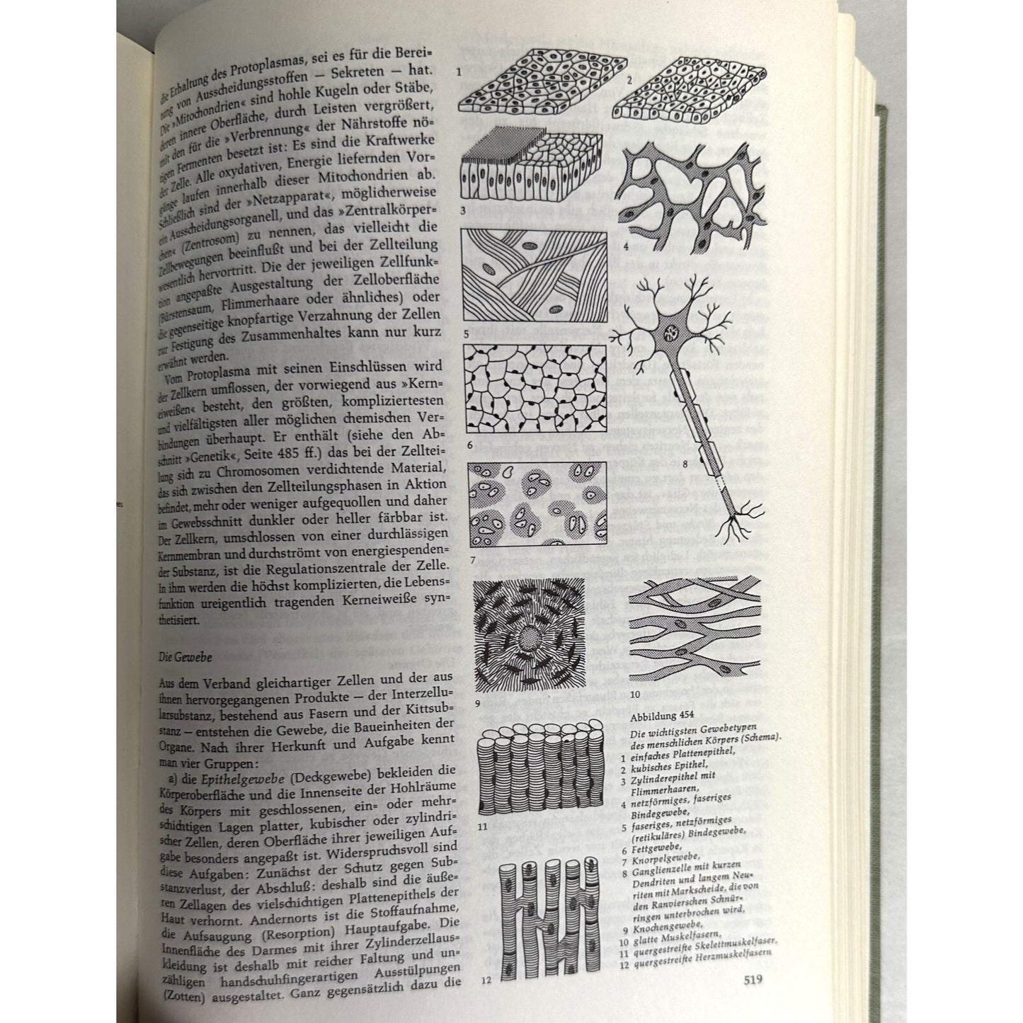 Bildungsbuch Der Büchergilde 2 Bands German Text 1962 Hardcover