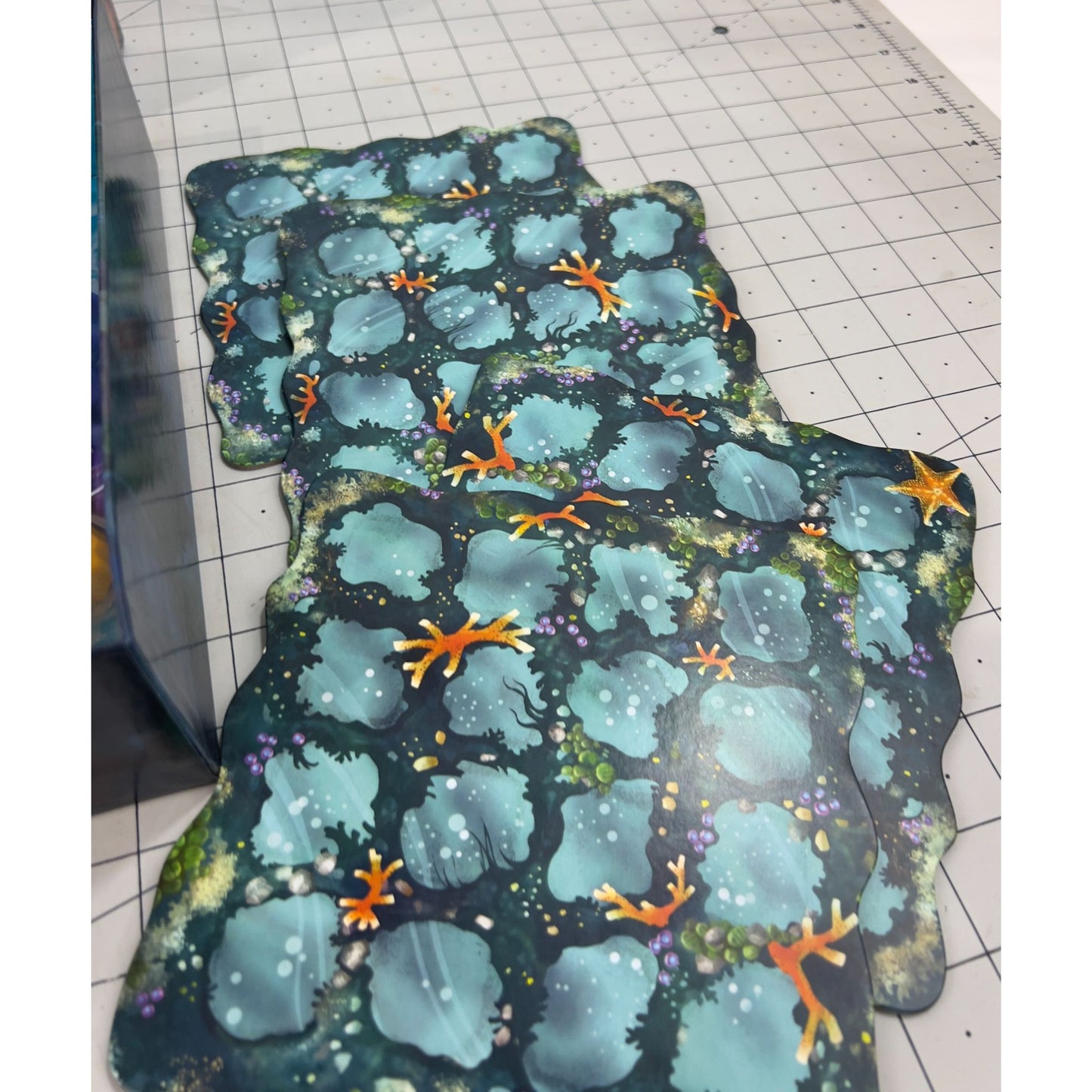 Reef Board Game By Emerson Matsuuchi  Strategy Game For 2-4 Players