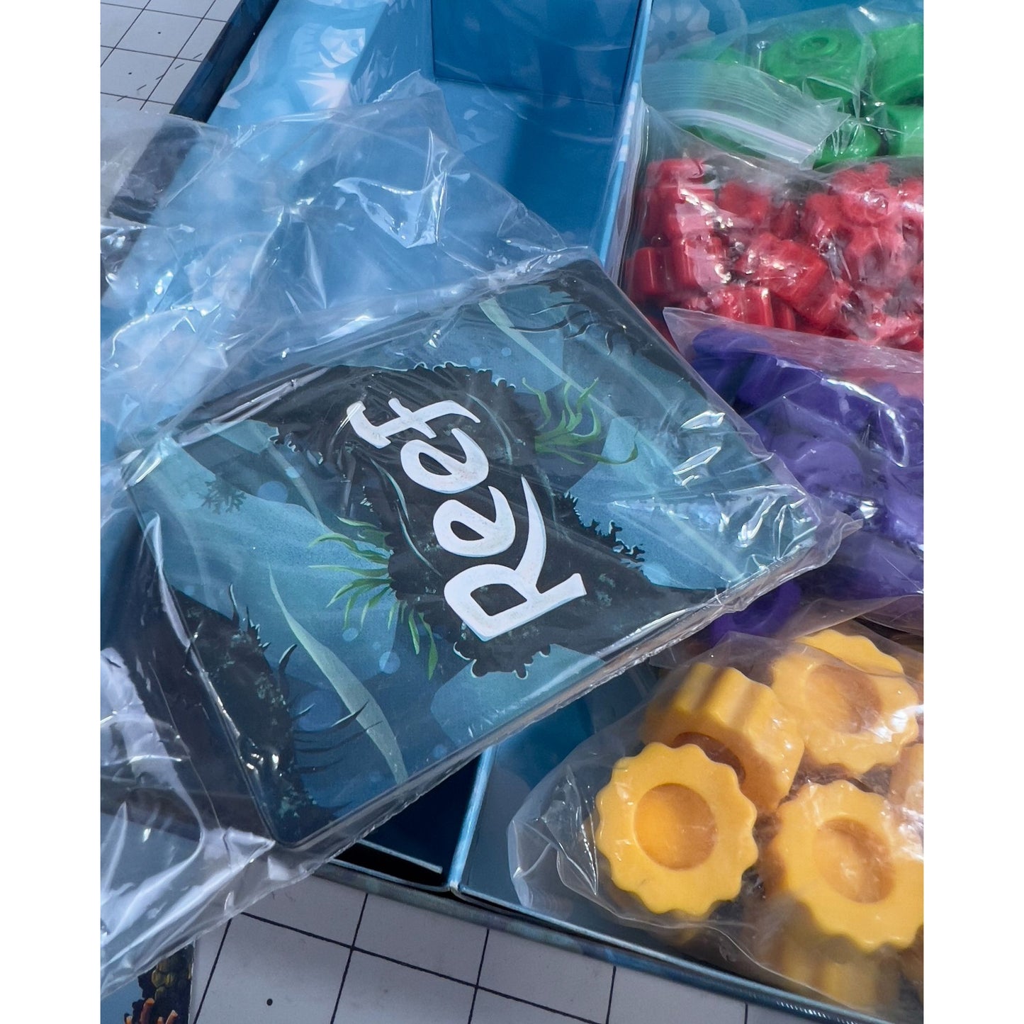 Reef Board Game By Emerson Matsuuchi  Strategy Game For 2-4 Players