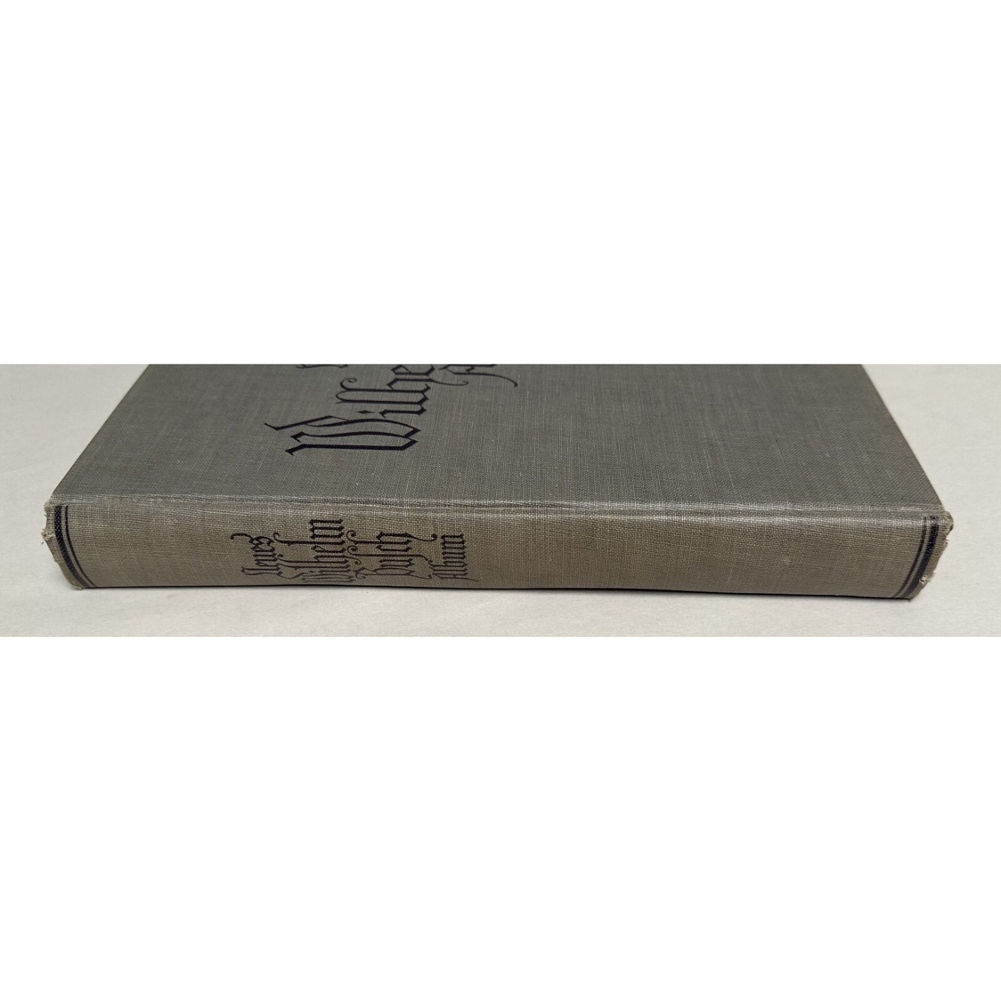 Neues Wilhelm Busch Album German Text 1500 Illustrations Hardcover 428 Pages 11.25x9